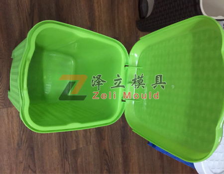 trash can mould
